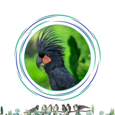 Kakatua Raja
